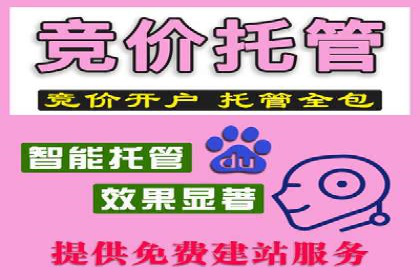 SEM主管的角色与职责：成功案例解析